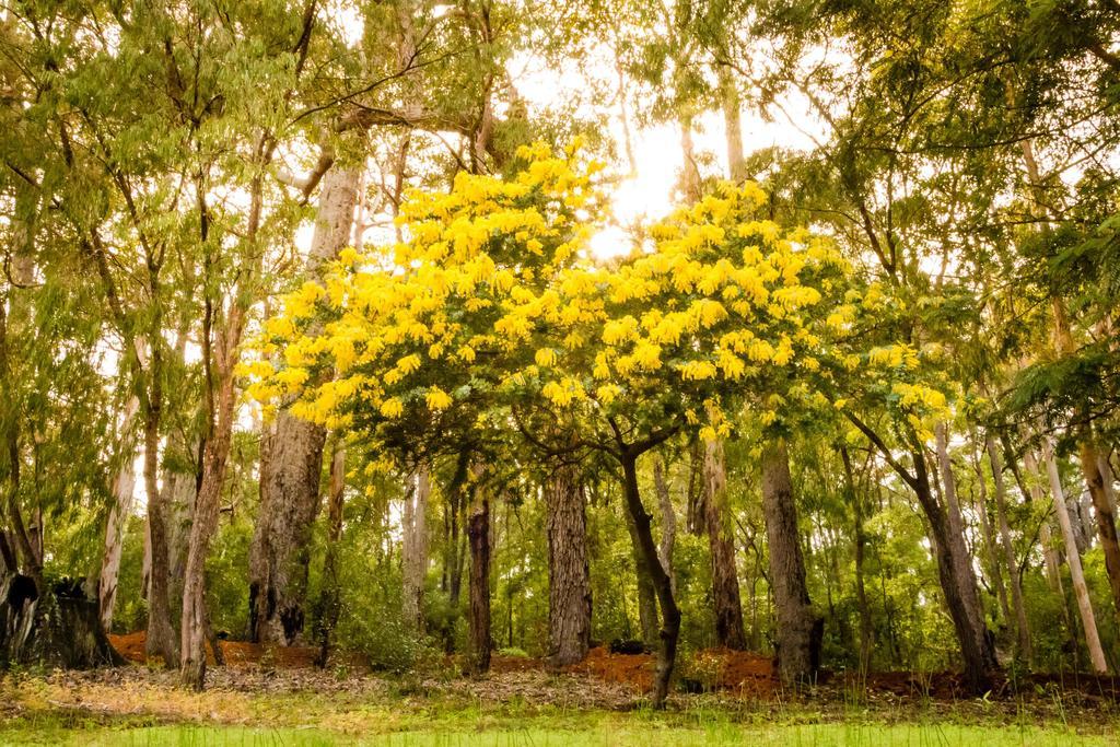 Riverglen Chalets Margaret River Esterno foto